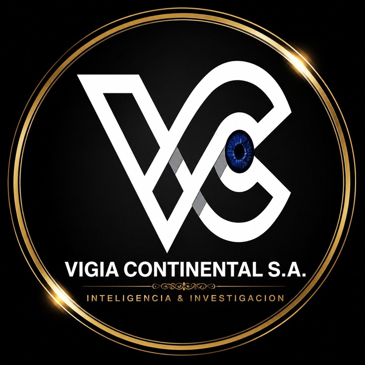 Detectives privados Vigia